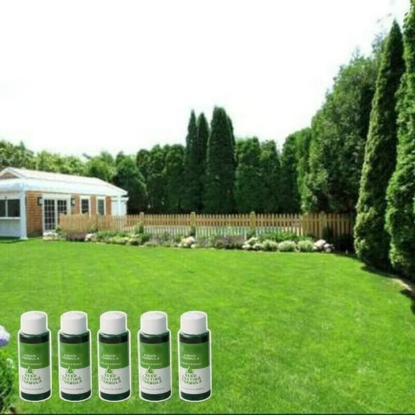 🔥 Last Day 70% OFF — Cougex™ Hydro Seeding Lawn Solution 🌱