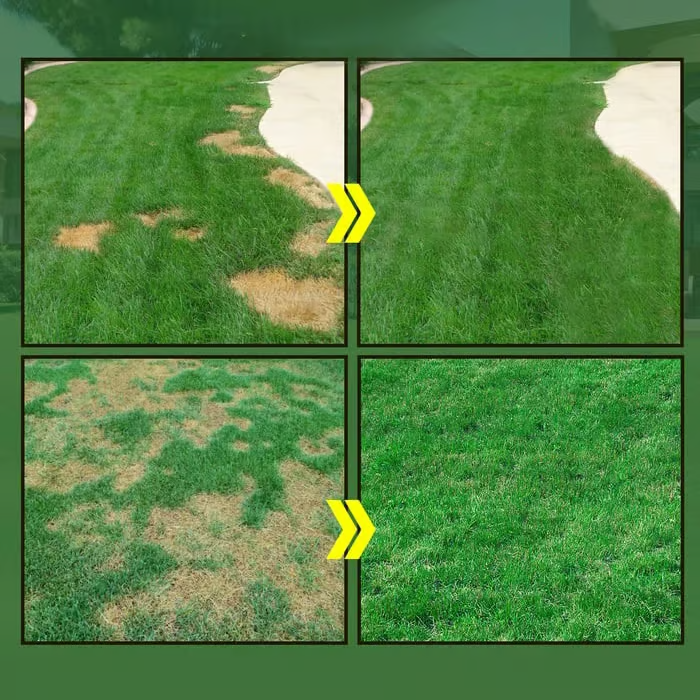 🔥 Last Day 70% OFF — Cougex™ Hydro Seeding Lawn Solution 🌱
